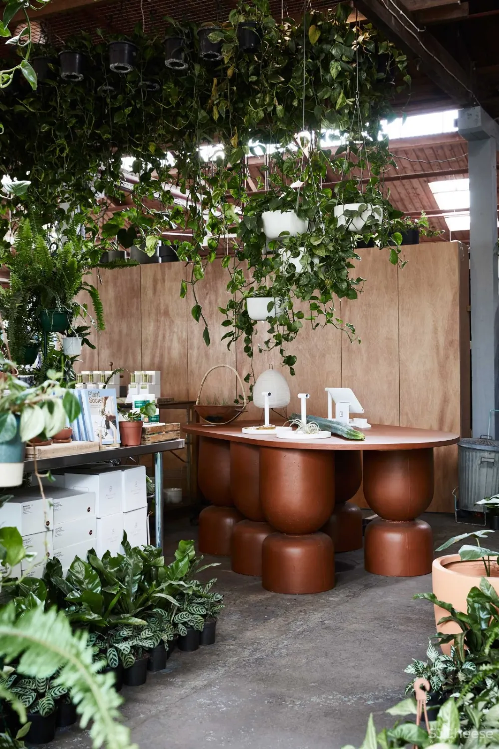 THE PLANT SOCIETY 植物协会新旗舰店