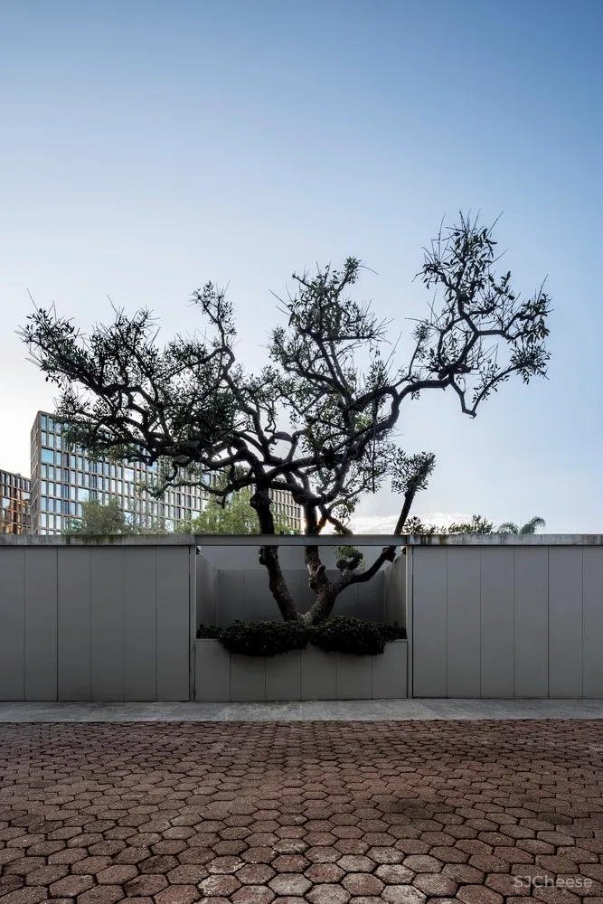 Alexanderson Arquitectos | 与自然的亲密接触 VR 花园别墅