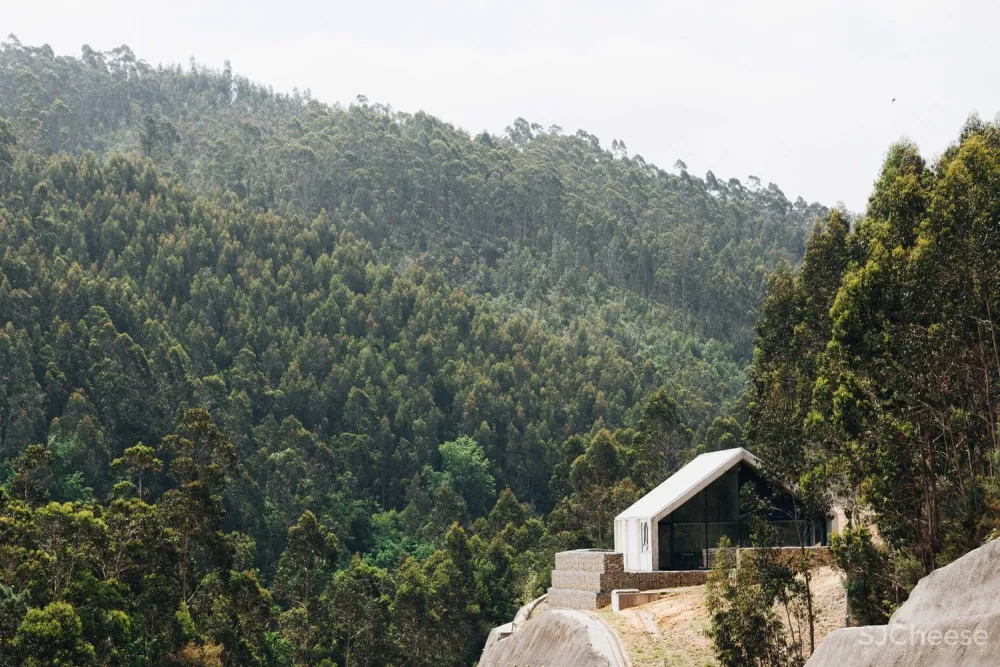 Pedro Geraldes | 森林中的现代工业建筑