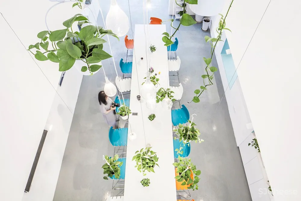 清新海狸工坊办公空间 | 张淼建筑设计事务所 首