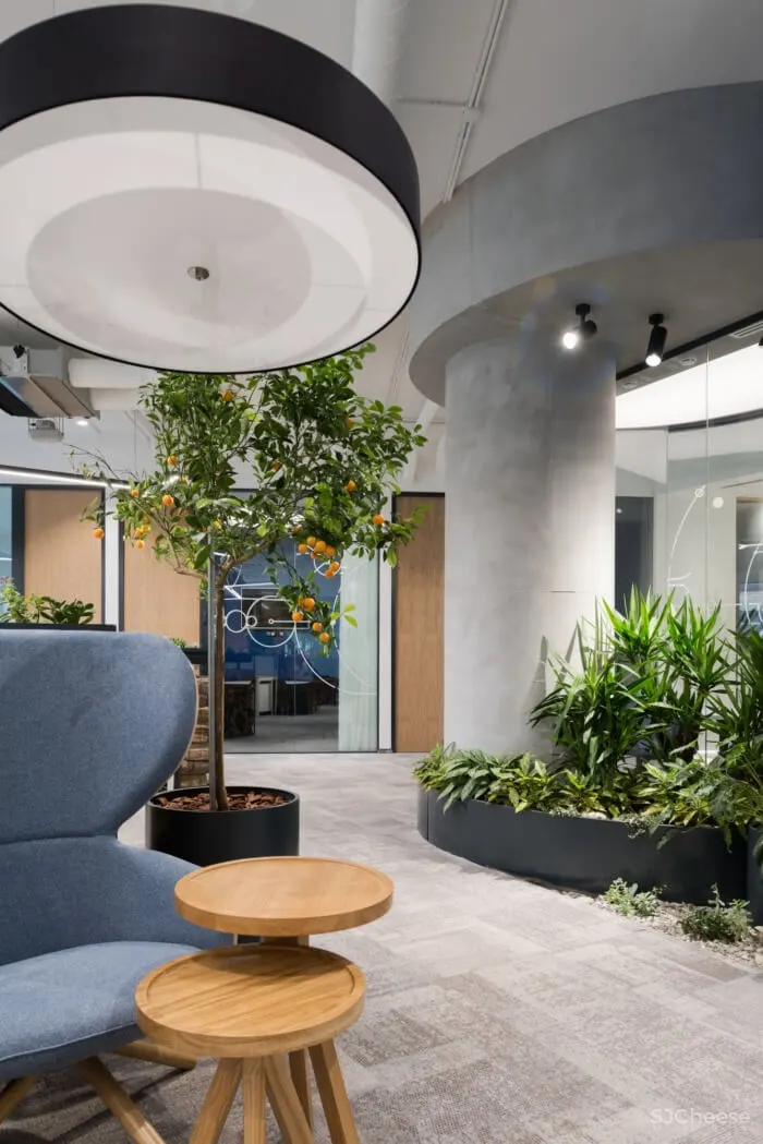 莫斯科DPG通信机构办事处设计