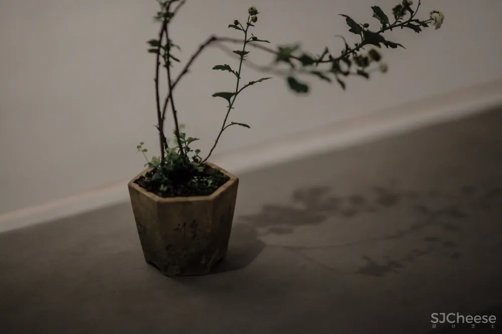 城市一隅,古朴禅境小茶馆 | SW 8. studio 首