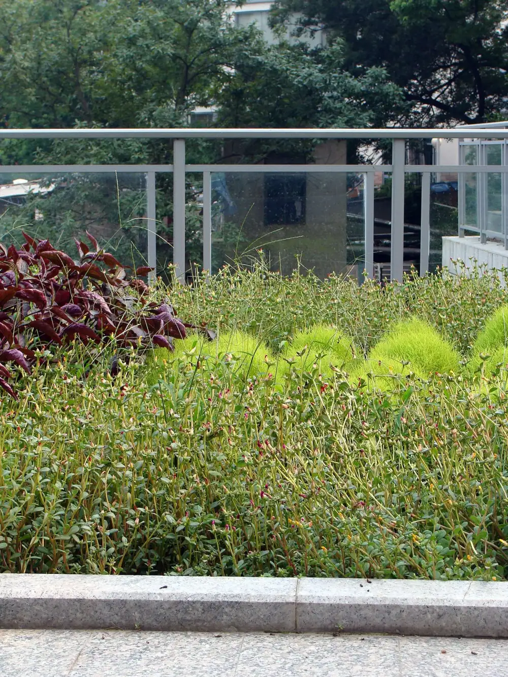 金螳螂 太湖干部疗养院