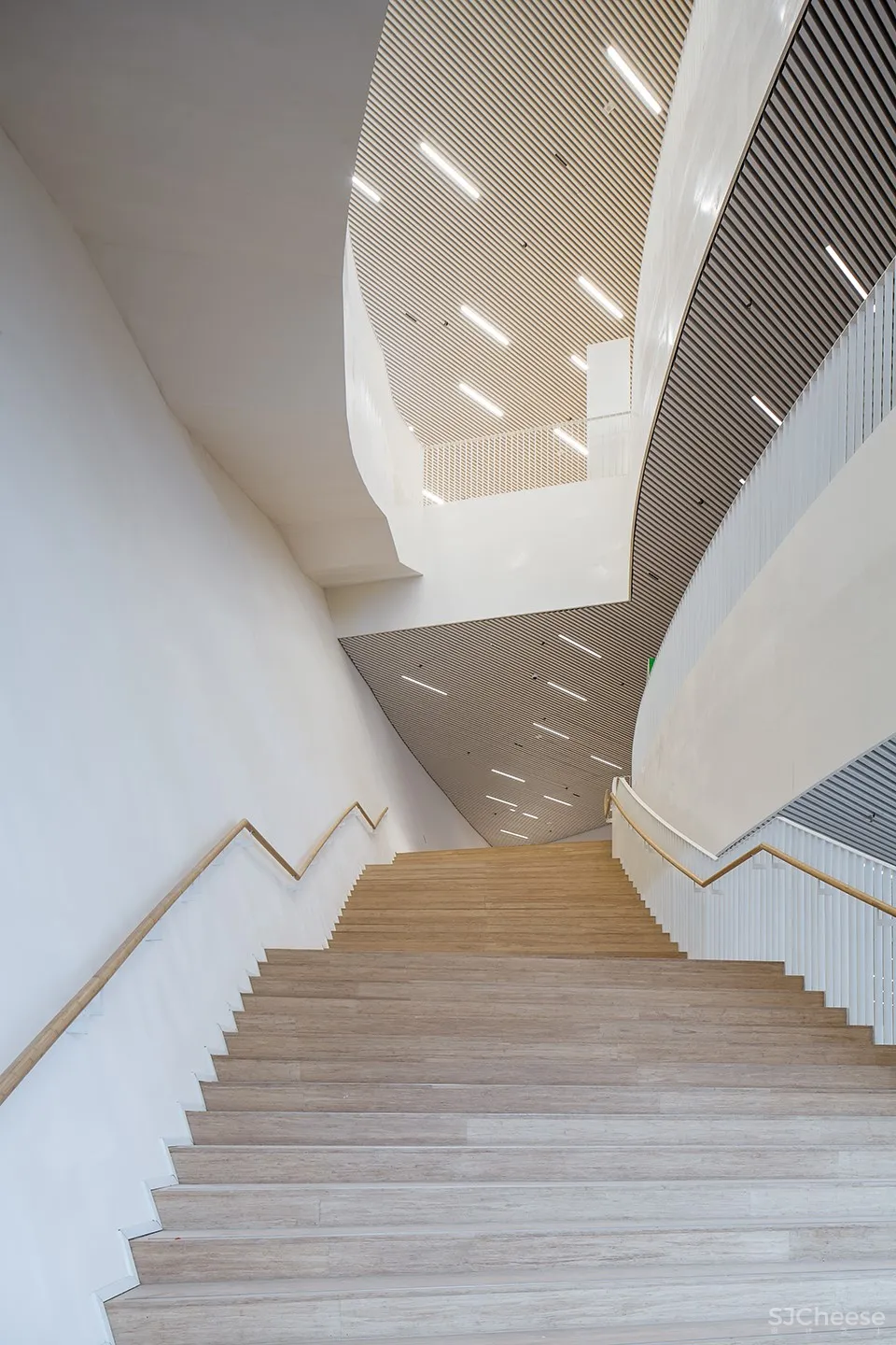 福州海峡文化艺术中心 / PES-Architects 首