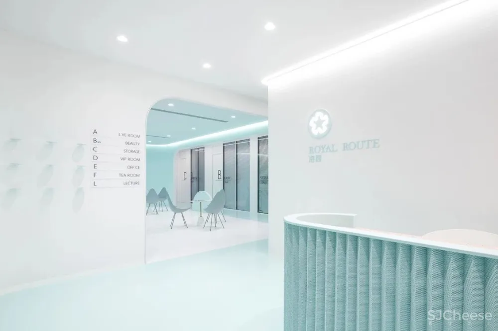 首发 | 我们和洛园一起,做了一个薄荷味的梦