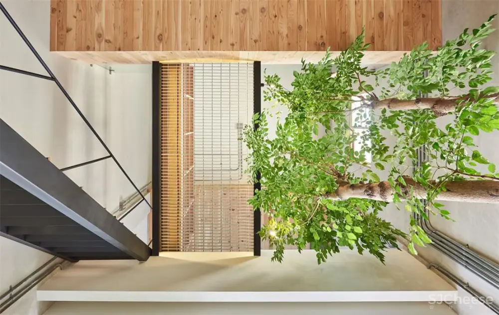 老屋新生之台湾转角60‘s