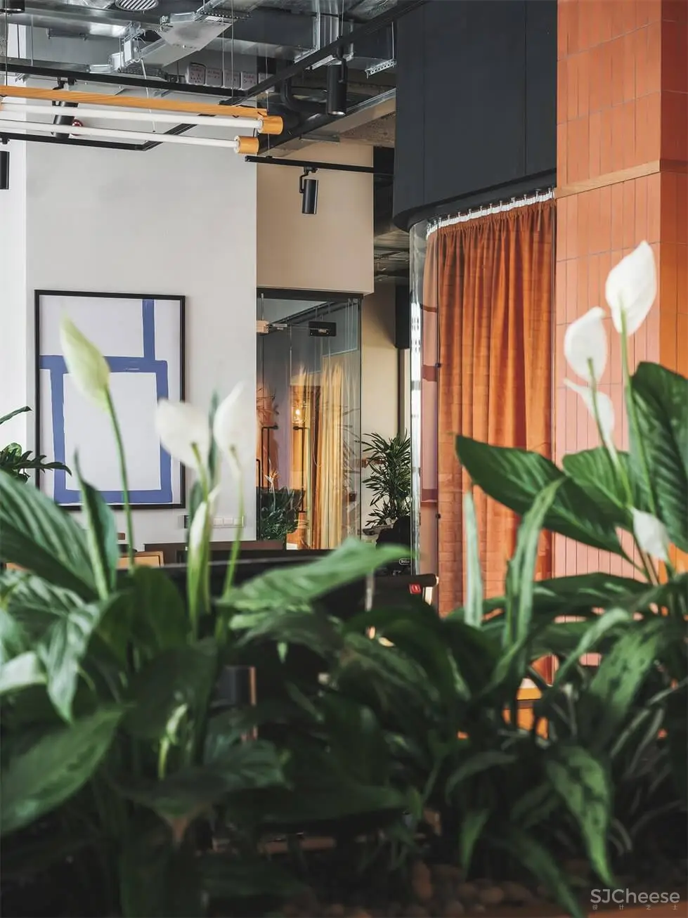 俄罗斯PETSHOP IT部门包豪斯风格办公室设计