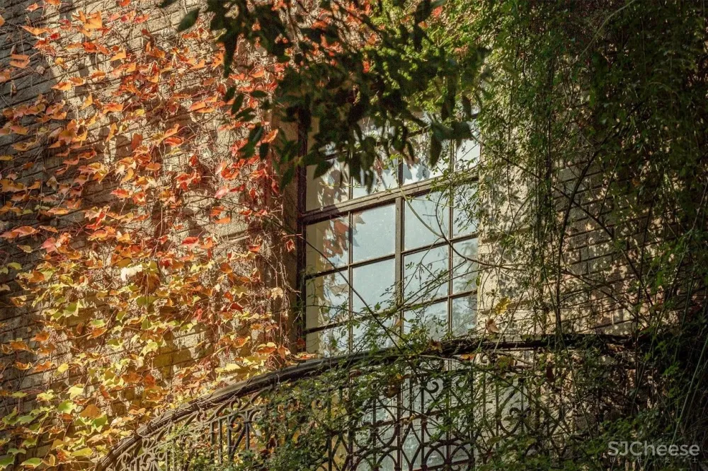 上海第一爱巢 | 煤炭大王的4000㎡豪宅