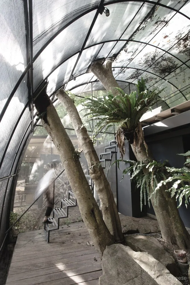 自然治愈系 / DIVOOE ZEIN Architects 首