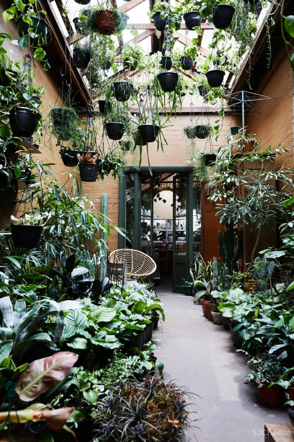 THE PLANT SOCIETY 植物协会新旗舰店