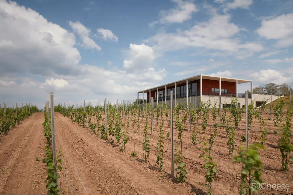 Obelisk酒庄：AiD team a.s. 首