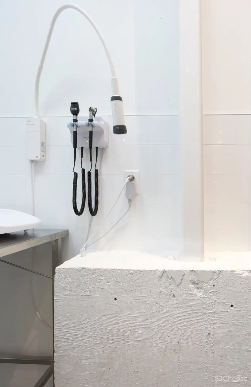 蒙特利尔废弃照相馆改造兽医医院和住宅设计