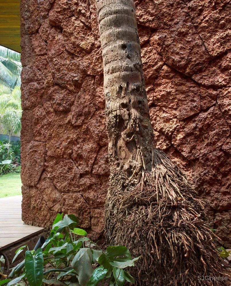 棕榈住宅 / Abraham John Architects