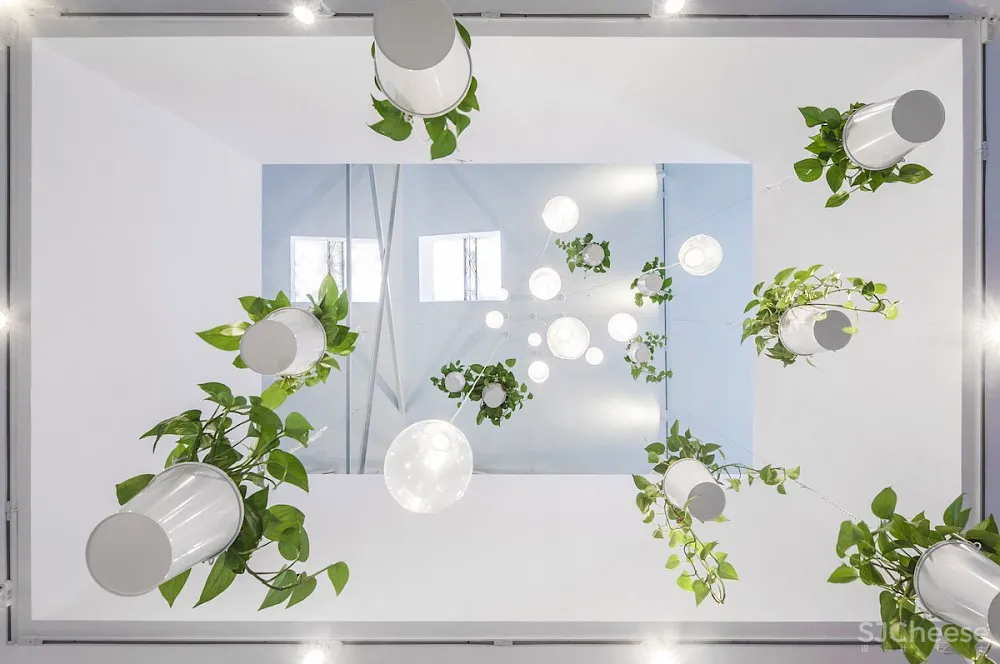 清新海狸工坊办公空间 | 张淼建筑设计事务所 首