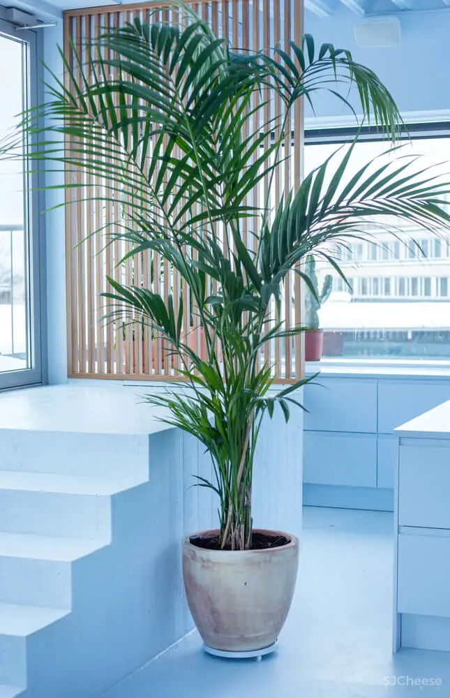 挪威Bakken＆Bæck未来主义办公室改造设计