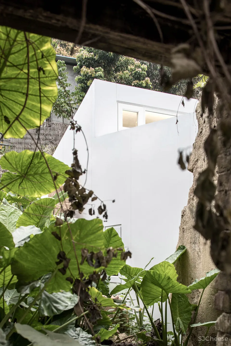 上围插件家,深圳 / 众建筑