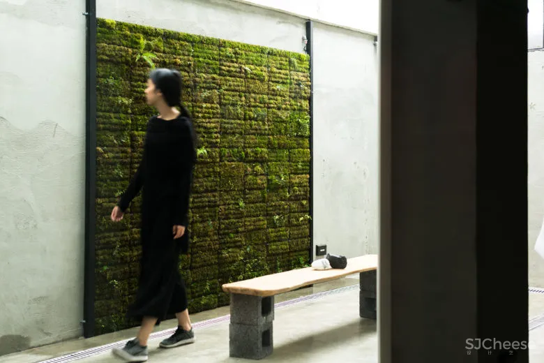 纸张、自然与人的催化实验室—FENKO凤娇催化室