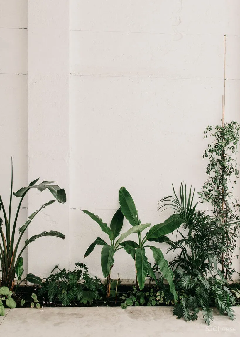 巴塞罗那工业仓库楼改造联合办公空间设计