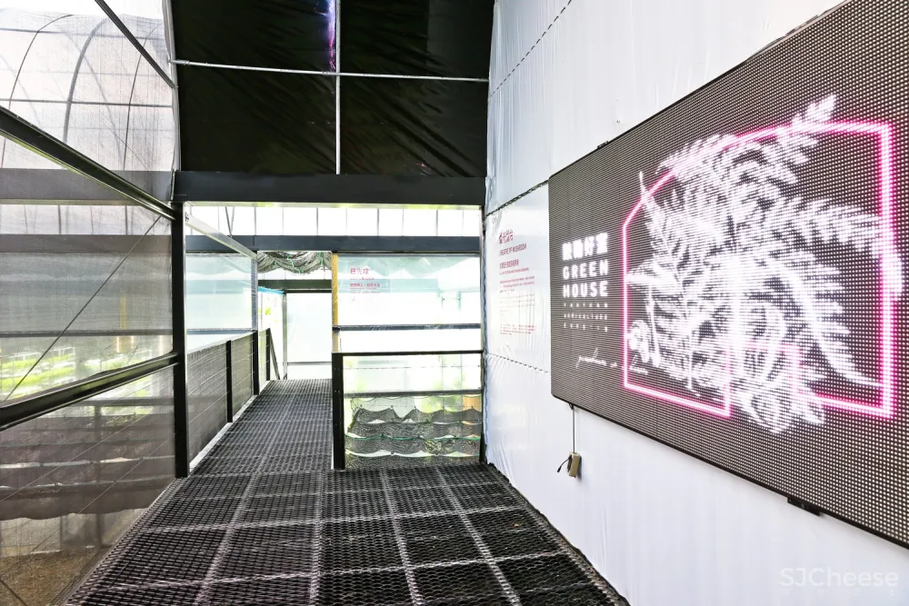 桃园温室之家,以气候组织空间 / BIAS Architects