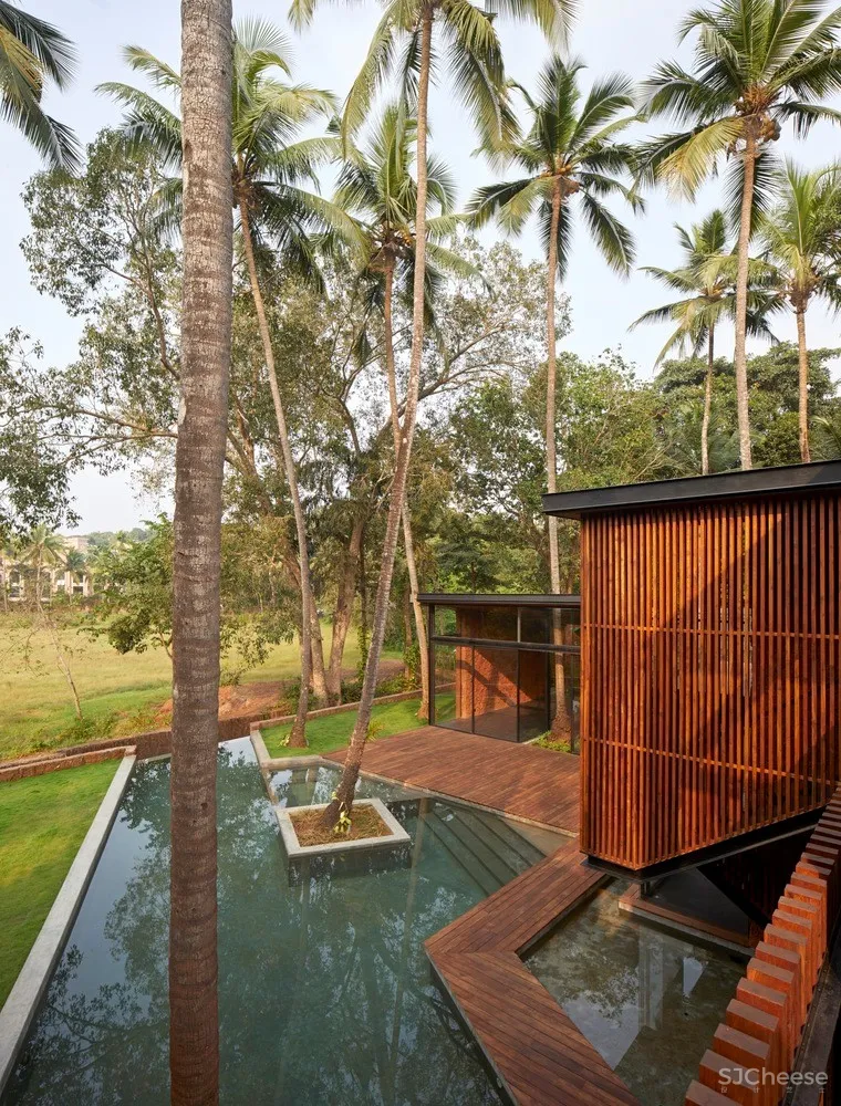 棕榈住宅 / Abraham John Architects