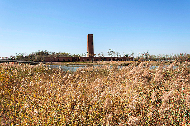 湿地中的红砖塔,河北 / 空格建筑
