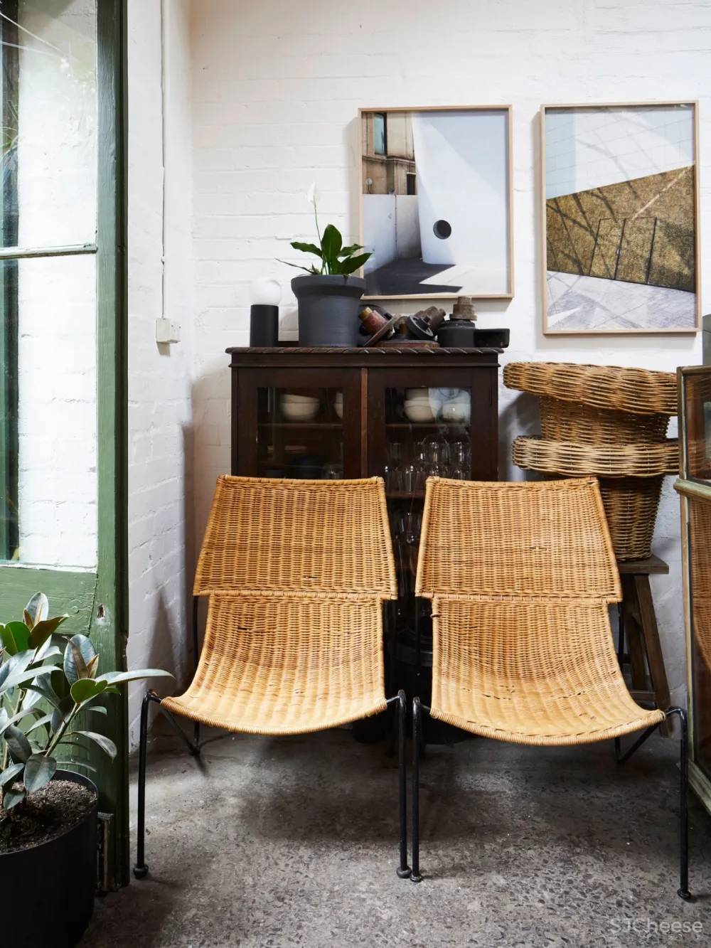 THE PLANT SOCIETY 植物协会新旗舰店