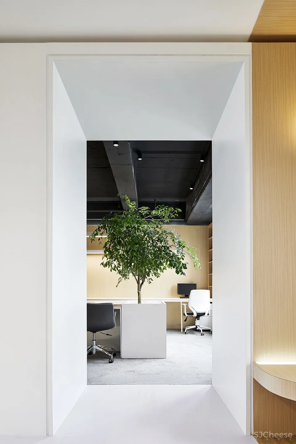 盒中绿意，上海 ： 目心设计研究室 首