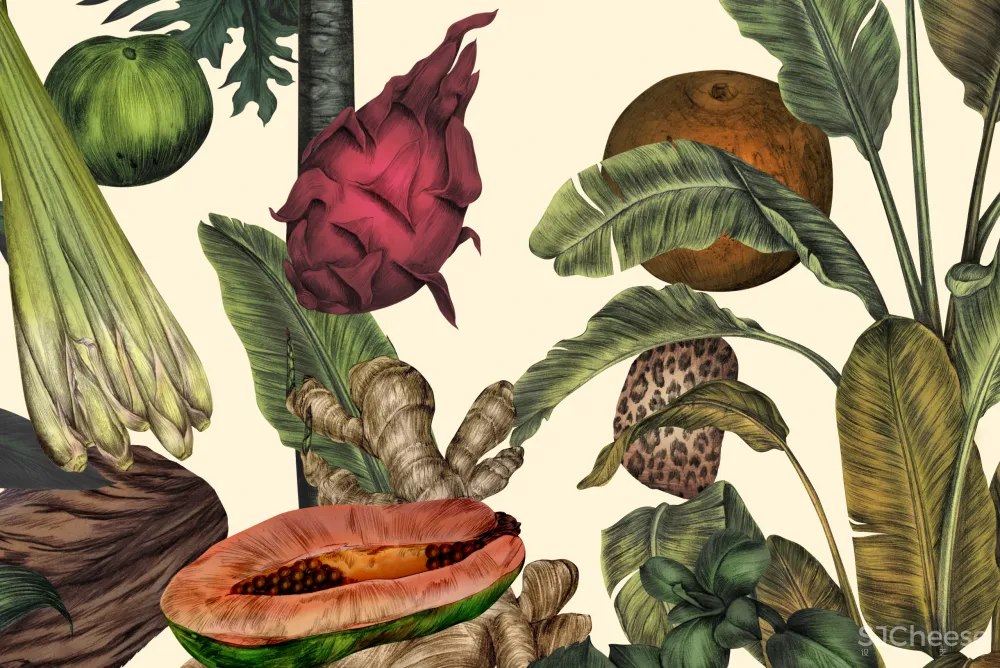 东京新宿:GinengerGrass”餐厅及墙上的艺术品