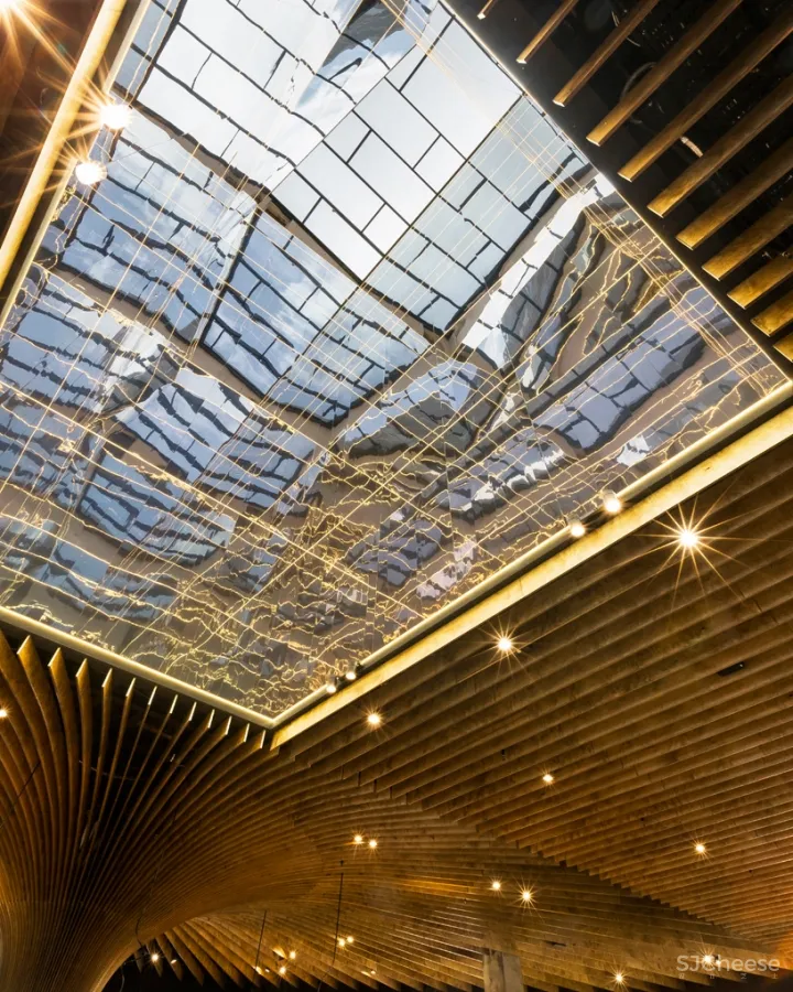 koichi takada设计的悉尼树状柱子枝桠蔓延的购物市场