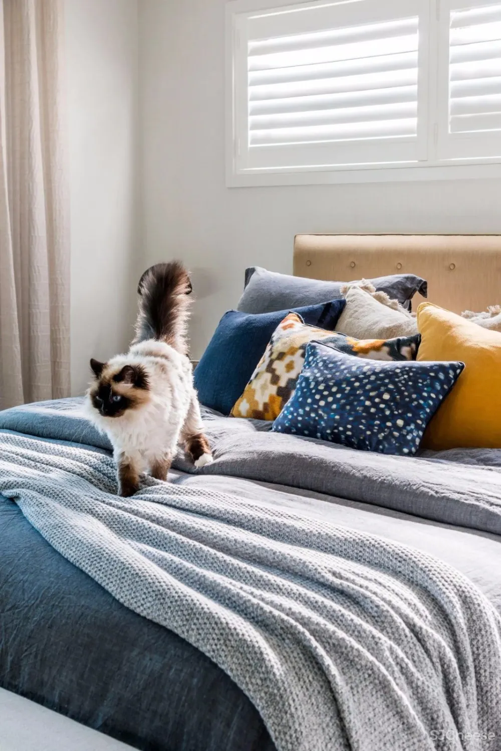 Darren James | 鼓舞人心的住宅空间组合