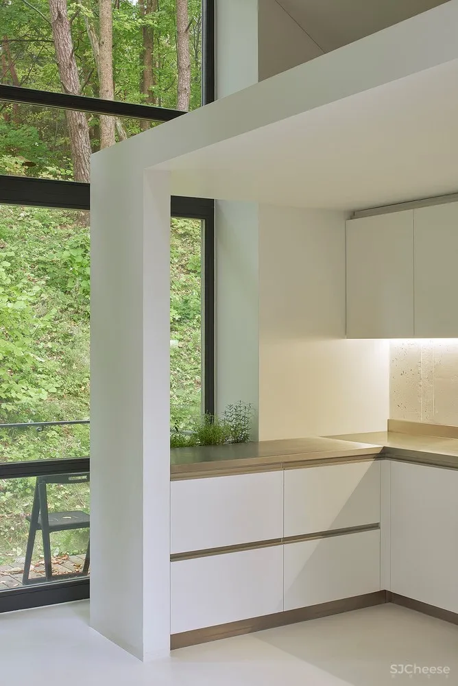 与环境的和谐融合 | A House in Rasu Namai