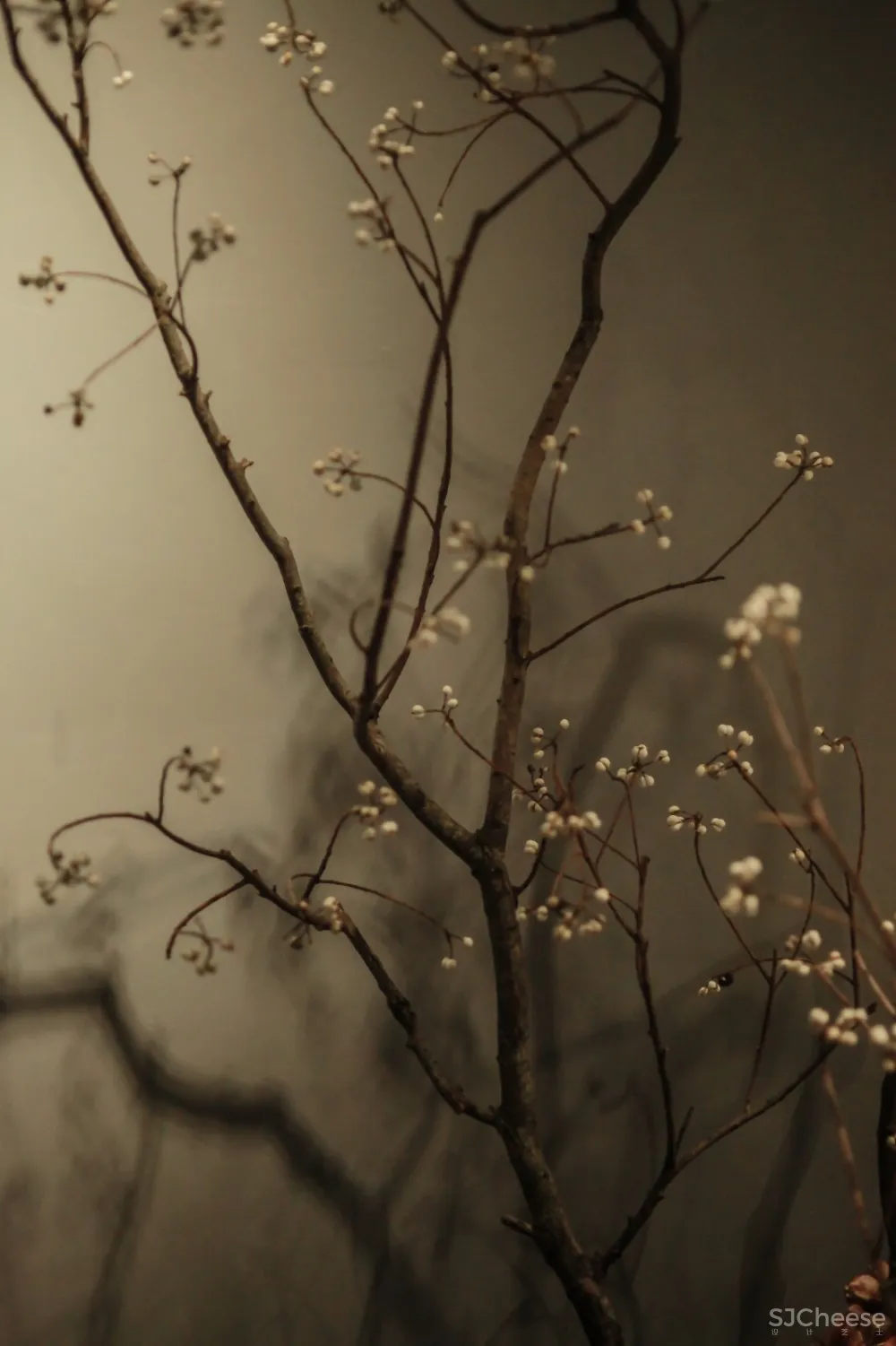 城市一隅,古朴禅境小茶馆 | SW 8. studio 首