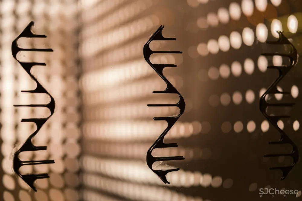 多元选择中追寻，定义独有基因 | 珑腾商业空间设计事务所 首