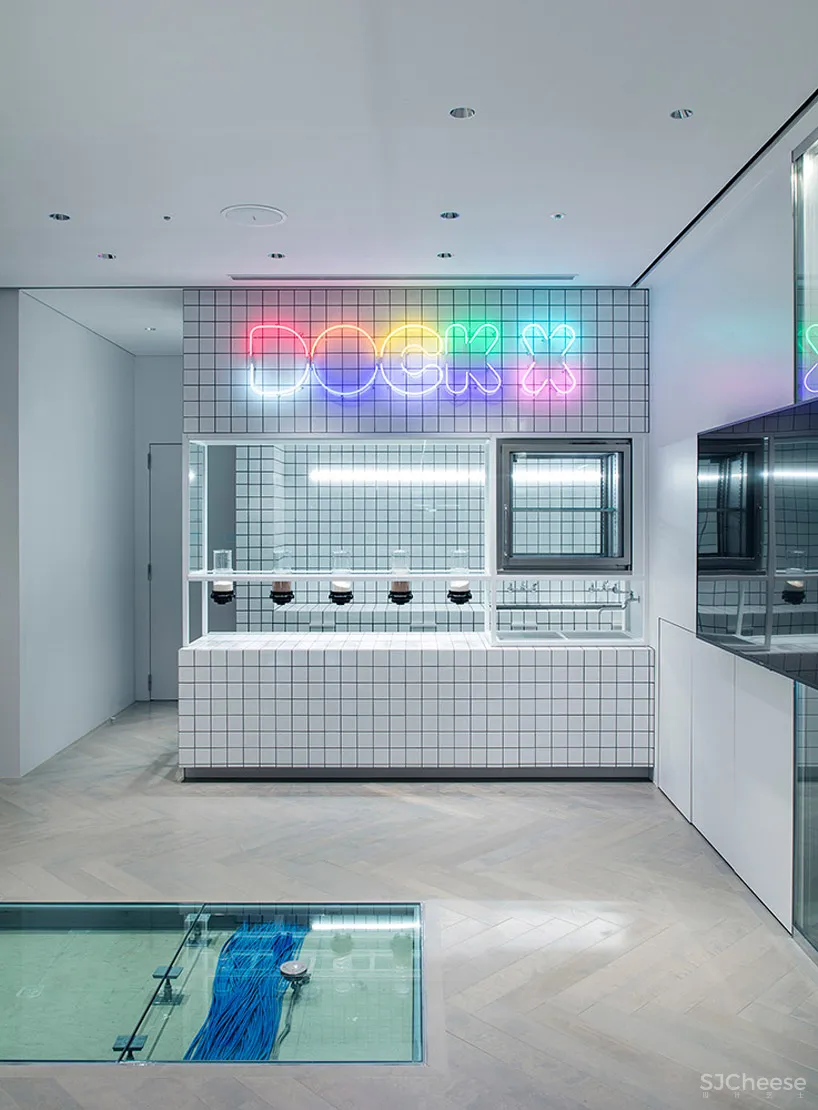 DDAA | 东京AVEX舞蹈训练工作室