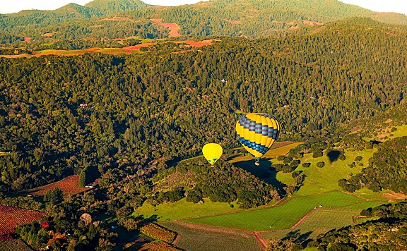 Yabu Pushelberg 作品 | Las Alcobas Napa Valley,葡萄酒之乡最具吸引力的酒店之一