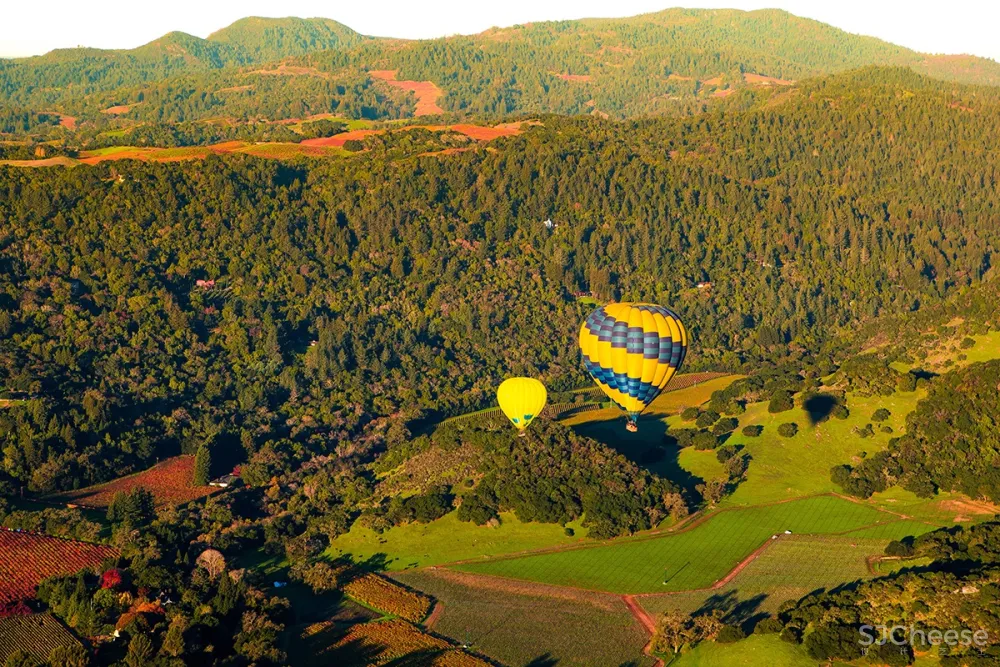 Yabu Pushelberg 作品 | Las Alcobas Napa Valley，葡萄酒之乡最具吸引力的酒店之一