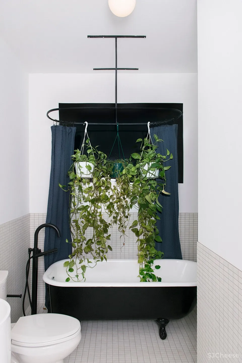 Studio Roslyn:温哥华 Ad Astra住宅 首