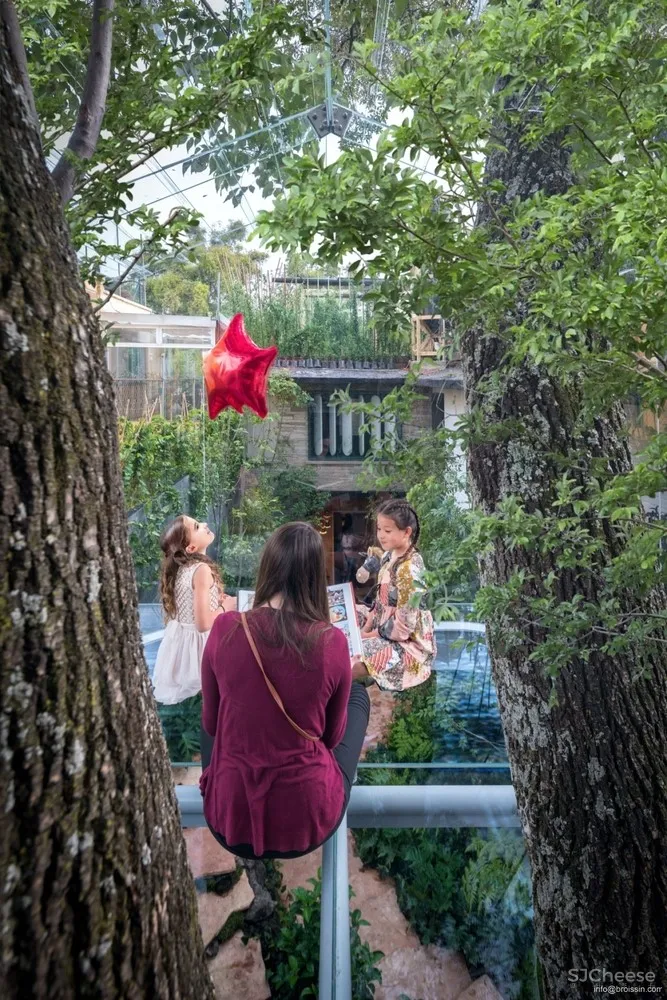 Broissin Arquitectos 运用玻璃重新诠释树屋