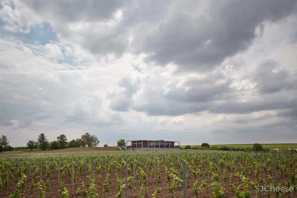 Obelisk酒庄：AiD team a.s. 首