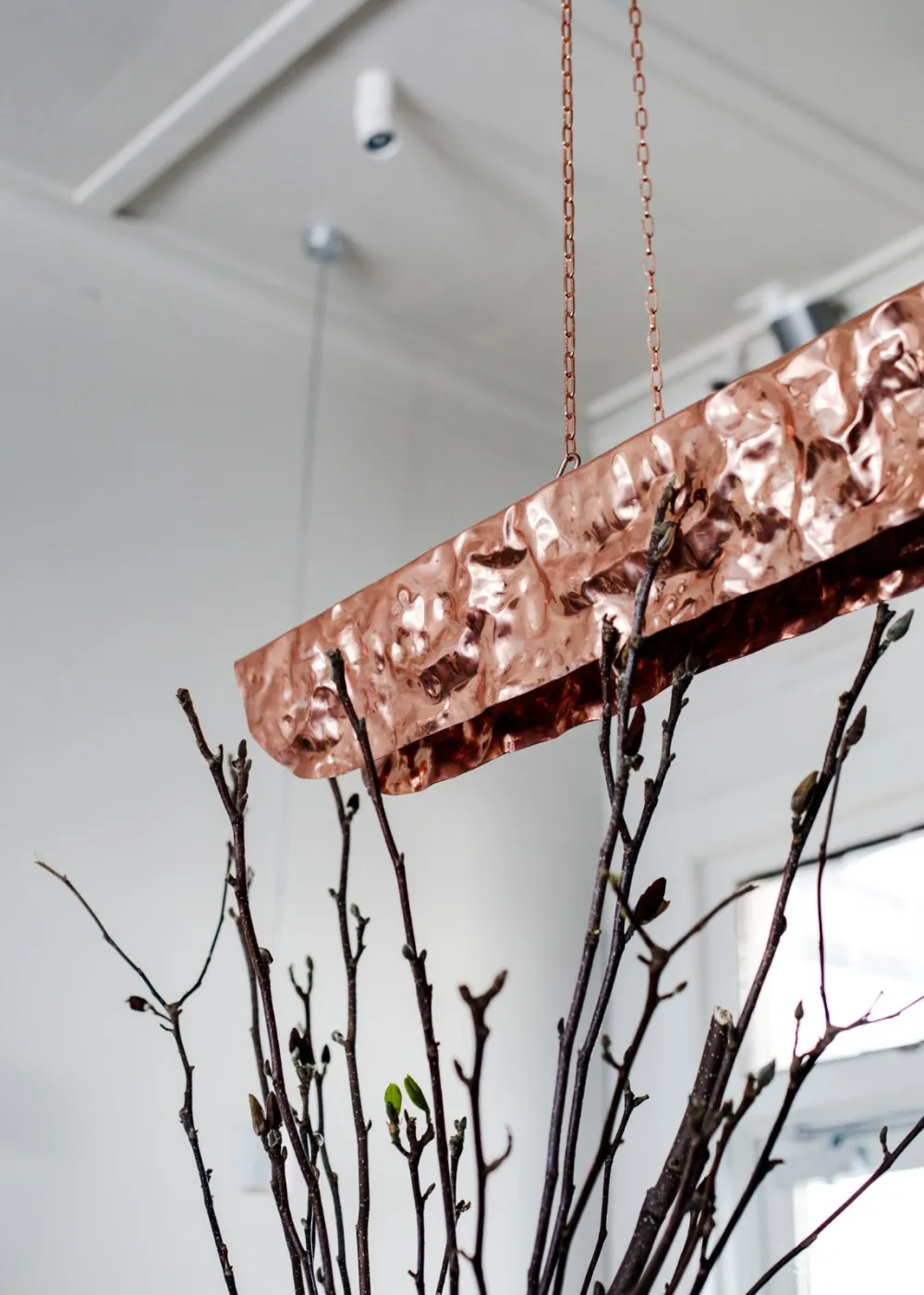 Fiona Lynch&Michael Gittings:休闲庭院酒吧