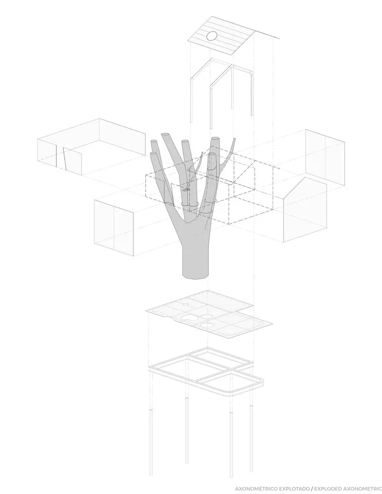 Broissin Arquitectos 运用玻璃重新诠释树屋