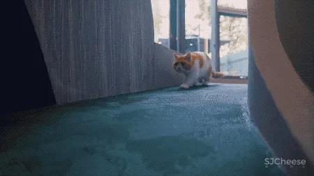 36平米的时尚魔方盒子 | 北京女设计师自宅