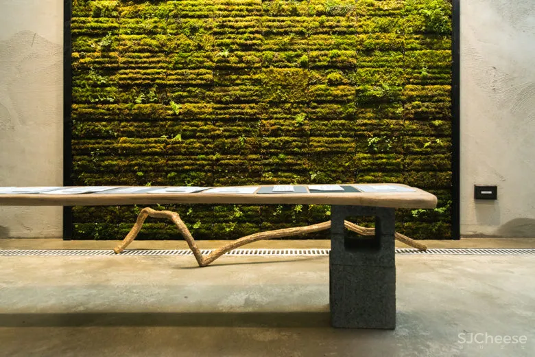 纸张、自然与人的催化实验室—FENKO凤娇催化室