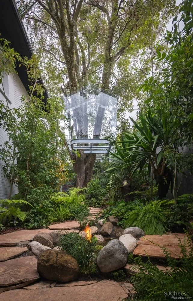 Broissin Arquitectos 运用玻璃重新诠释树屋