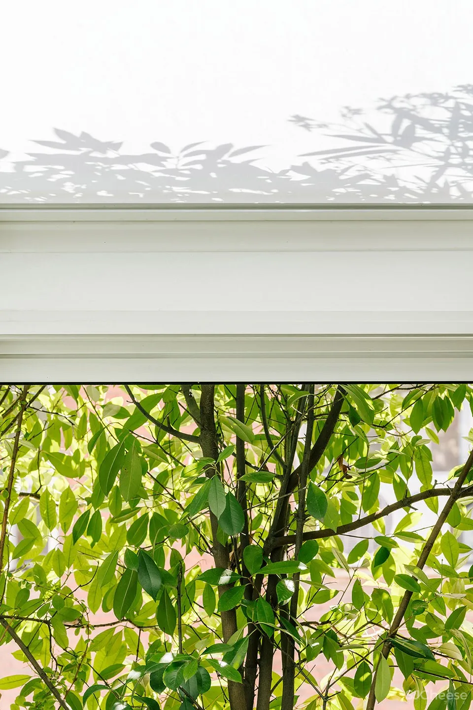 G住宅，马德里 / gon Architects 首