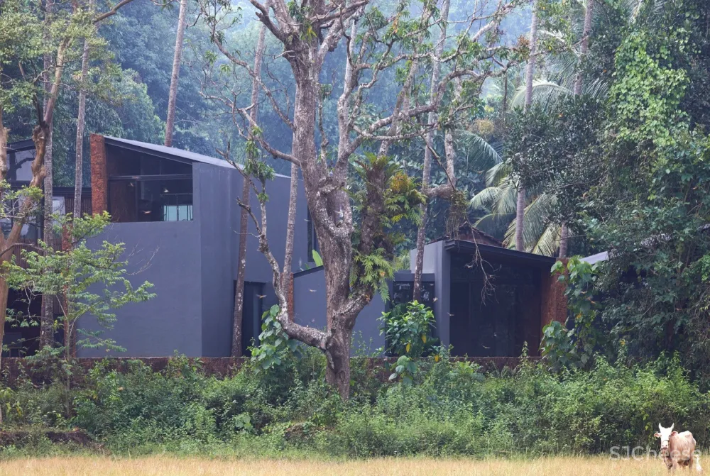 棕榈住宅 / Abraham John Architects