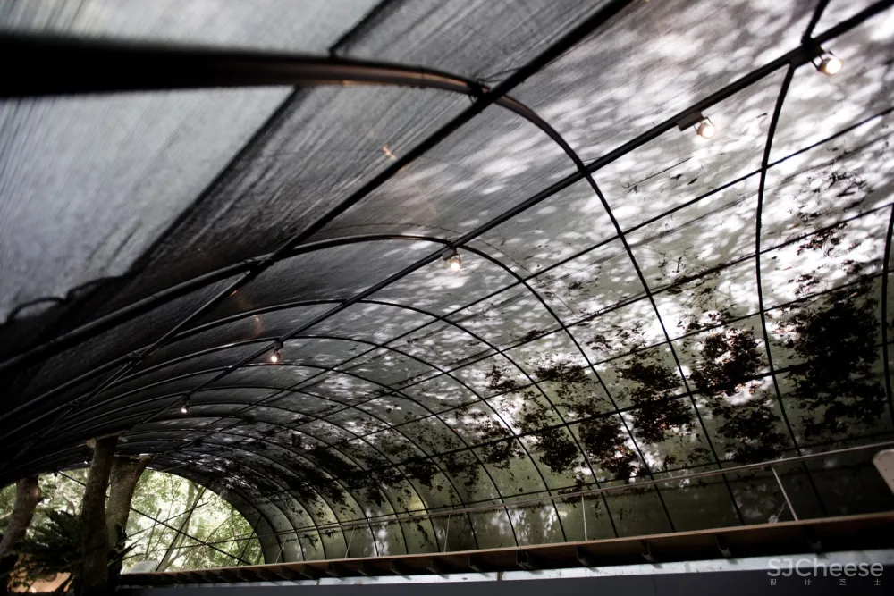 自然治愈系 / DIVOOE ZEIN Architects 首