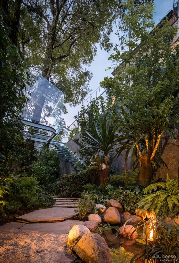 Broissin Arquitectos 运用玻璃重新诠释树屋