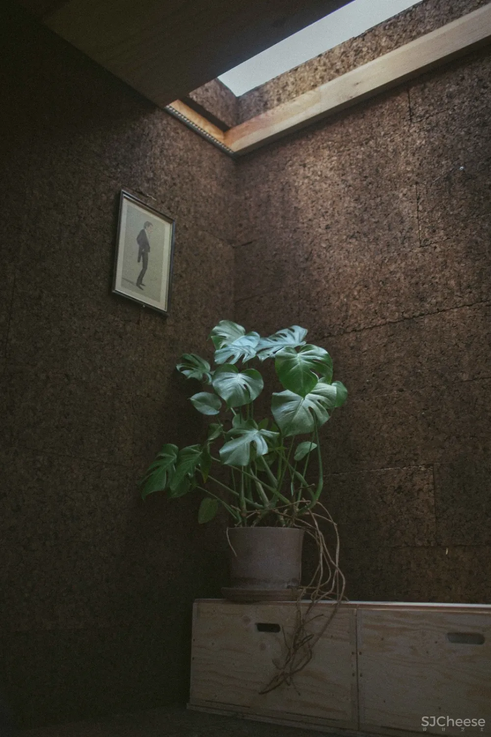 新作 | Studio Bark 可降解可回收的软木住宅 首