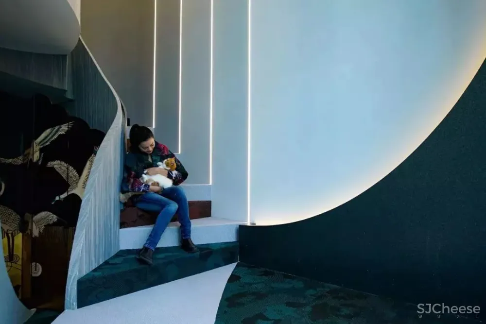 36平米的时尚魔方盒子 | 北京女设计师自宅